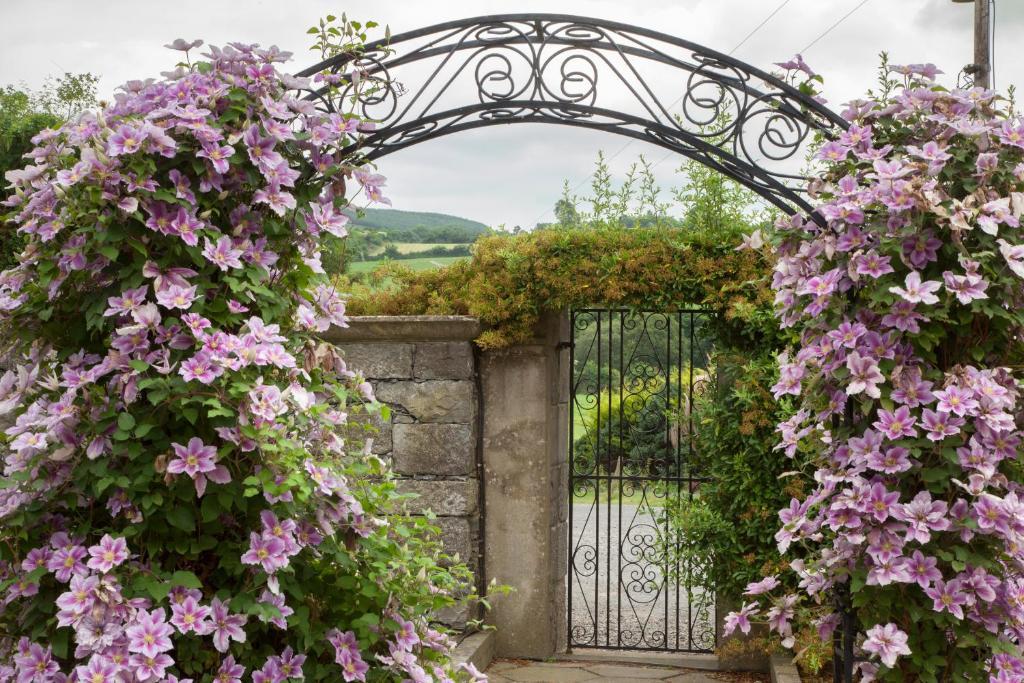 Glasha Farmhouse Pensionat Ballymacarbry Exteriör bild