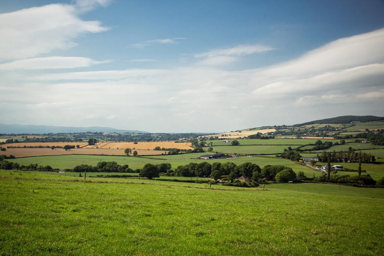 Glasha Farmhouse Pensionat Ballymacarbry Exteriör bild