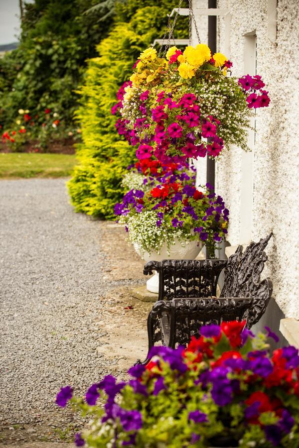 Glasha Farmhouse Pensionat Ballymacarbry Exteriör bild